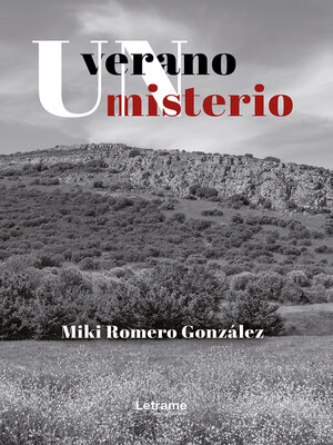 cover image of Un verano, un misterio